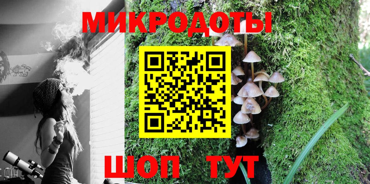 Галлюциногенные грибы Psilocybe Мурманск